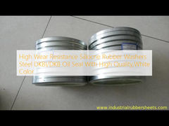High Wear Resistance Siliocne Rubber Washers Steel DKBI/DKB Oil Seal With High Quality,White Color