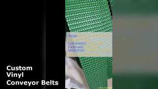 Custom Vinyl Conveyor Belt Solutions
