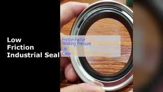 Low Friction Industrial Seal Stainless Steel 304 316
