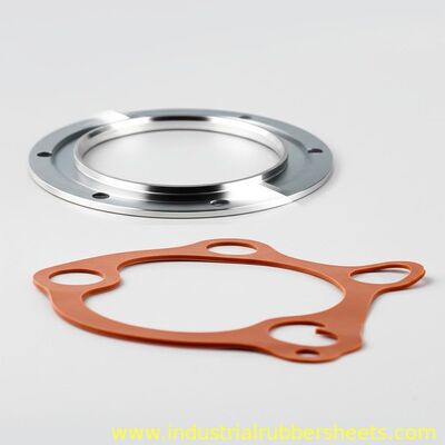 High Tensile Strength PTFE Seal and Silicone Rubber Gasket with Corrosion Resistance for Wide Temperature Range