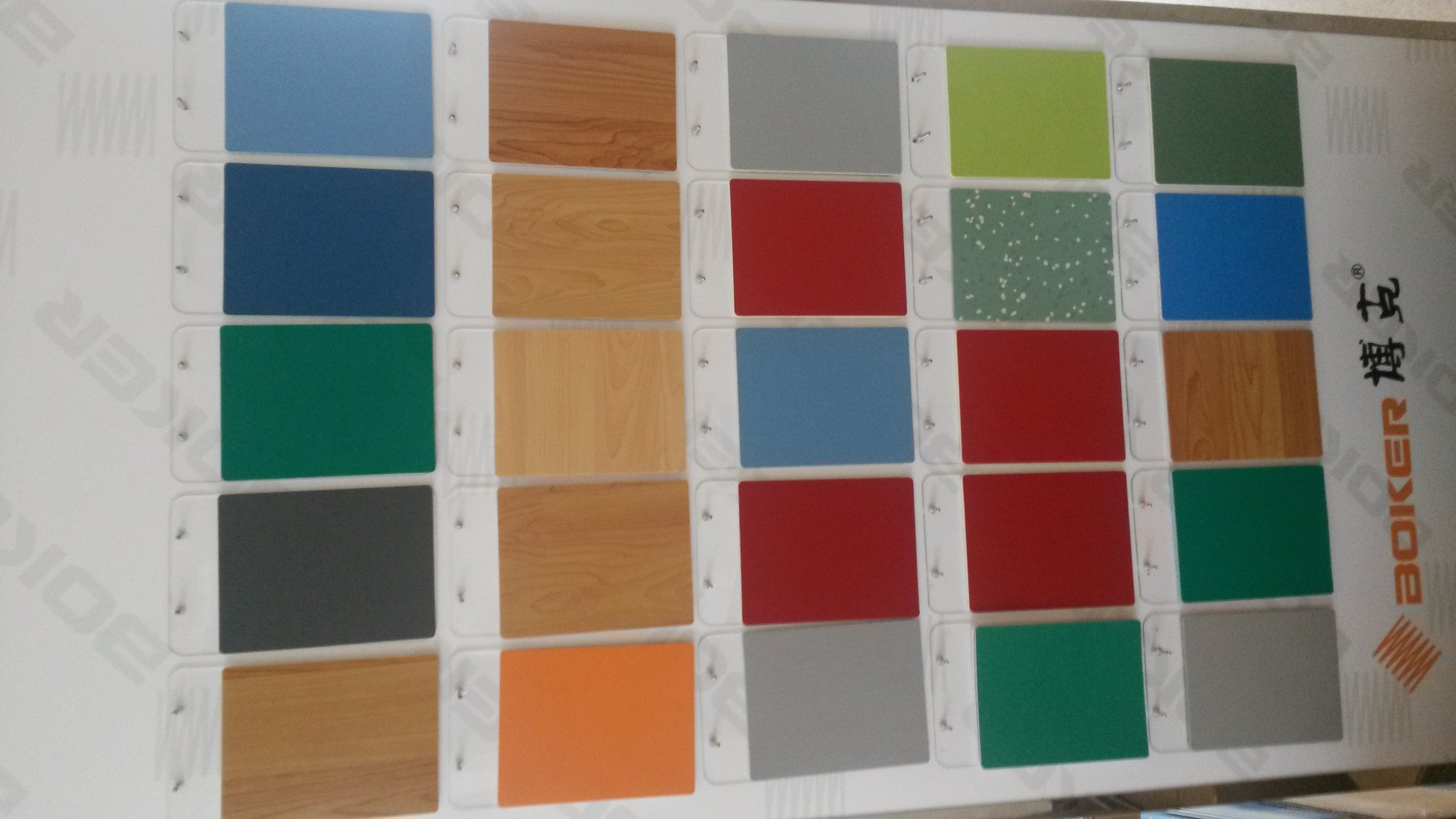 Dust Resistance PVC Floor Mat For Living Room , PVC Coil Mat with Firm ...